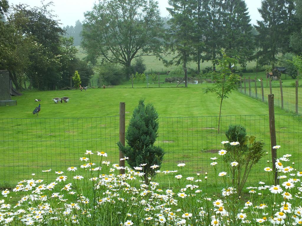 Bed and Breakfast La Jolimessine Jolimetz Esterno foto